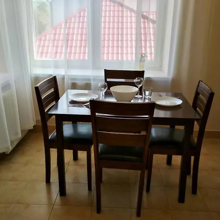 Apartments Domovik Квартира С Видом На Гори Парканія 21 * מוקצ'בה