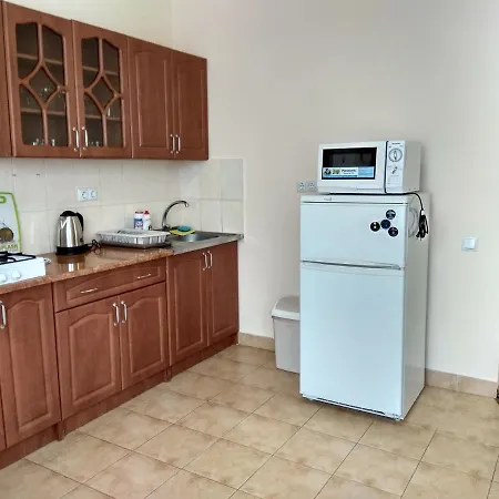 Apartments Domovik Квартира С Видом На Гори Парканія 21 מוקצ'בה