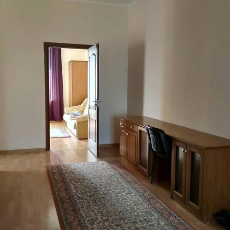 Apartment Domovik просторная с видом на горы Mukacheve