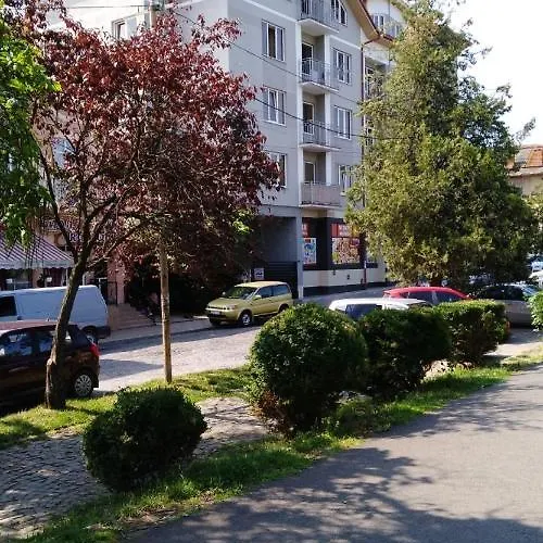 Domovik с видом на гори парканія 21 Apartman *
