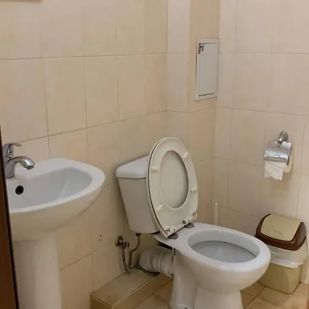 Domovik с видом на гори парканія 21 Apartmán Mukačevo